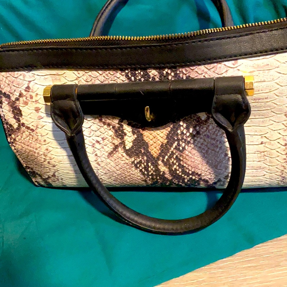 Snake Skin Printed Purse